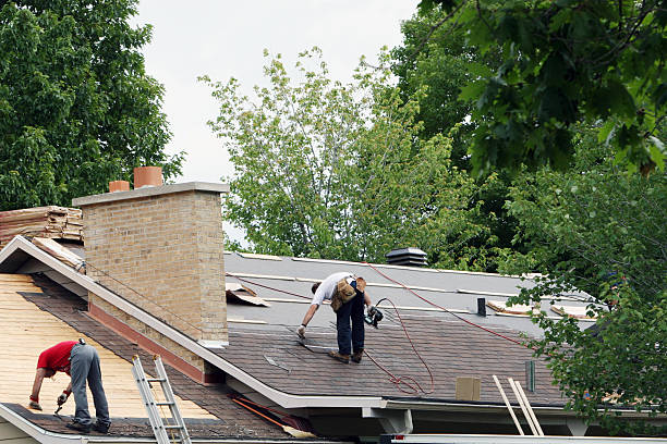 Gutter Installation and Roofing in Lake Darby, OH