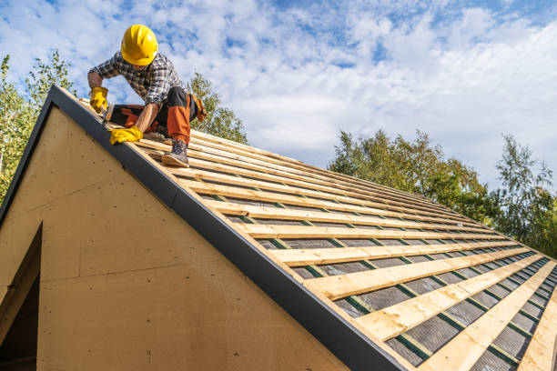Best Roof Gutter Cleaning  in Lake Darby, OH
