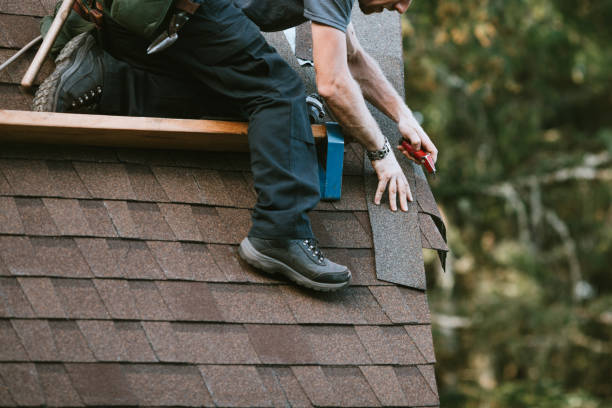 Best Roof Leak Repair  in Lake Darby, OH